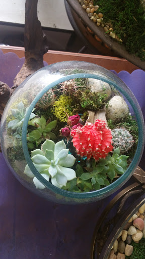 Florist «Garden Grove Florist», reviews and photos, 9710 Garden Grove Blvd # C, Garden Grove, CA 92844, USA