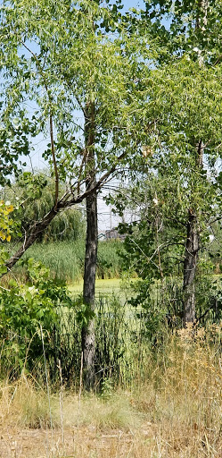 Nature Preserve «Gateway Lakes Natural Area», reviews and photos, 28th Street, Greeley, CO 80634, USA