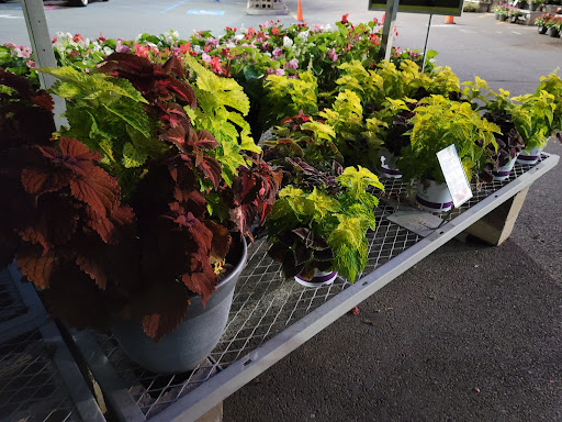 Home Improvement Store «The Home Depot», reviews and photos, 200 South Ave, Garwood, NJ 07027, USA