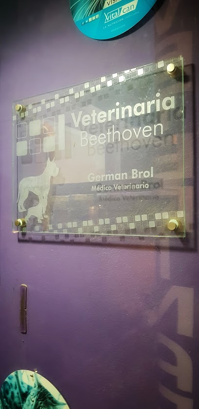 Veterinaria Beethoven