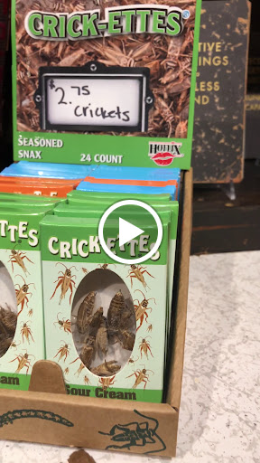 General Store «Judy Maxwell Home», reviews and photos, 1349 N Wells St, Chicago, IL 60610, USA