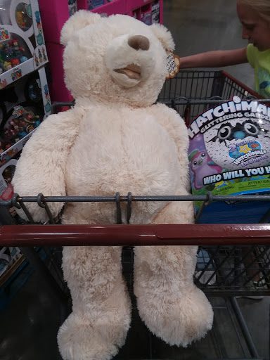 Warehouse store «Costco Wholesale», reviews and photos, 3333 University Blvd, Winter Park, FL 32792, USA