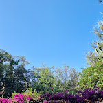 Photo n°2 de l'avis de Marcela.e fait le 11/07/2023 à 12:27 sur le  Hotel Cleopatra Ischia à Ischia