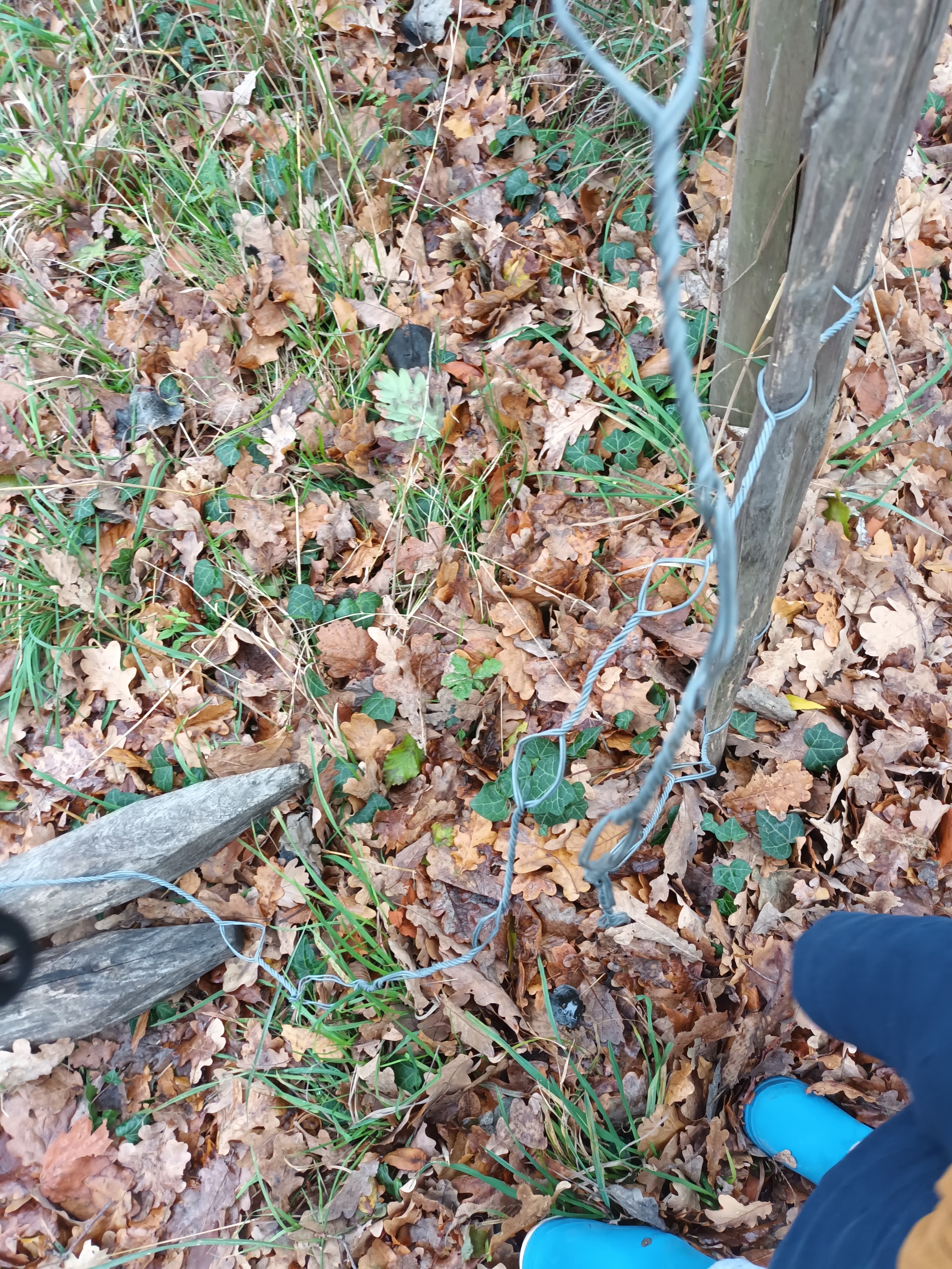 Photo n° 1 de l'avis de Irène.E fait le 11/11/2022 à 17:01