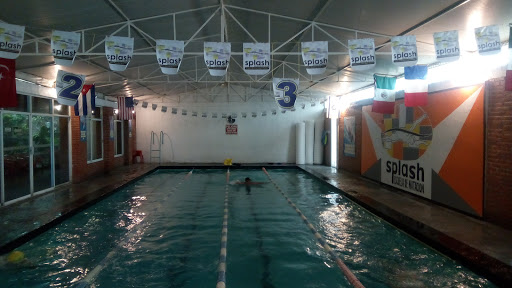 Escuela de Natacion Splash