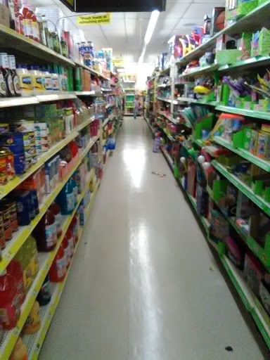 Home Goods Store «Dollar General», reviews and photos, 491 Lincoln Ave, Bellevue, PA 15202, USA