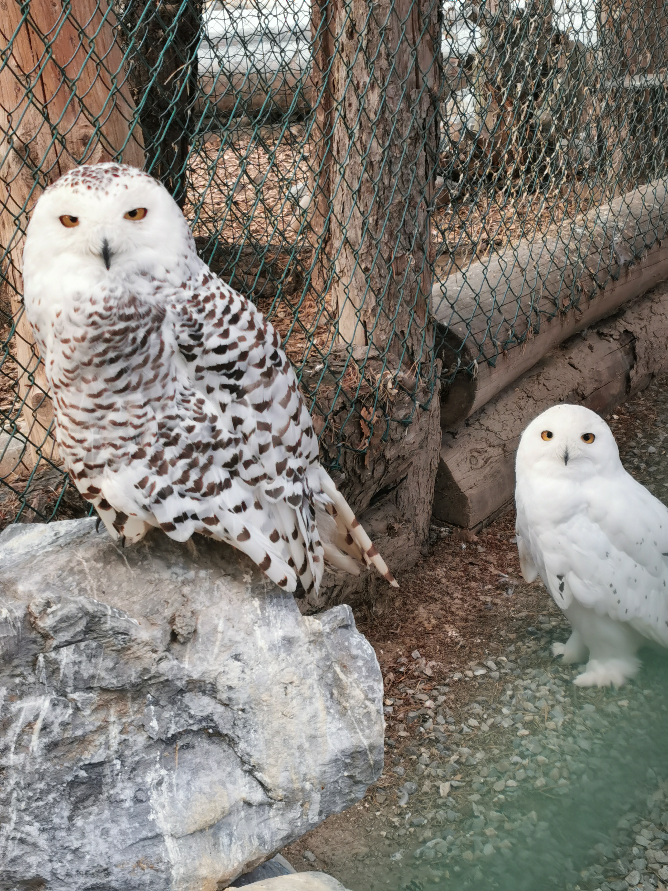 Photo n° 1 de l'avis de Mustapha.A fait le 30/07/2021 à 08:53