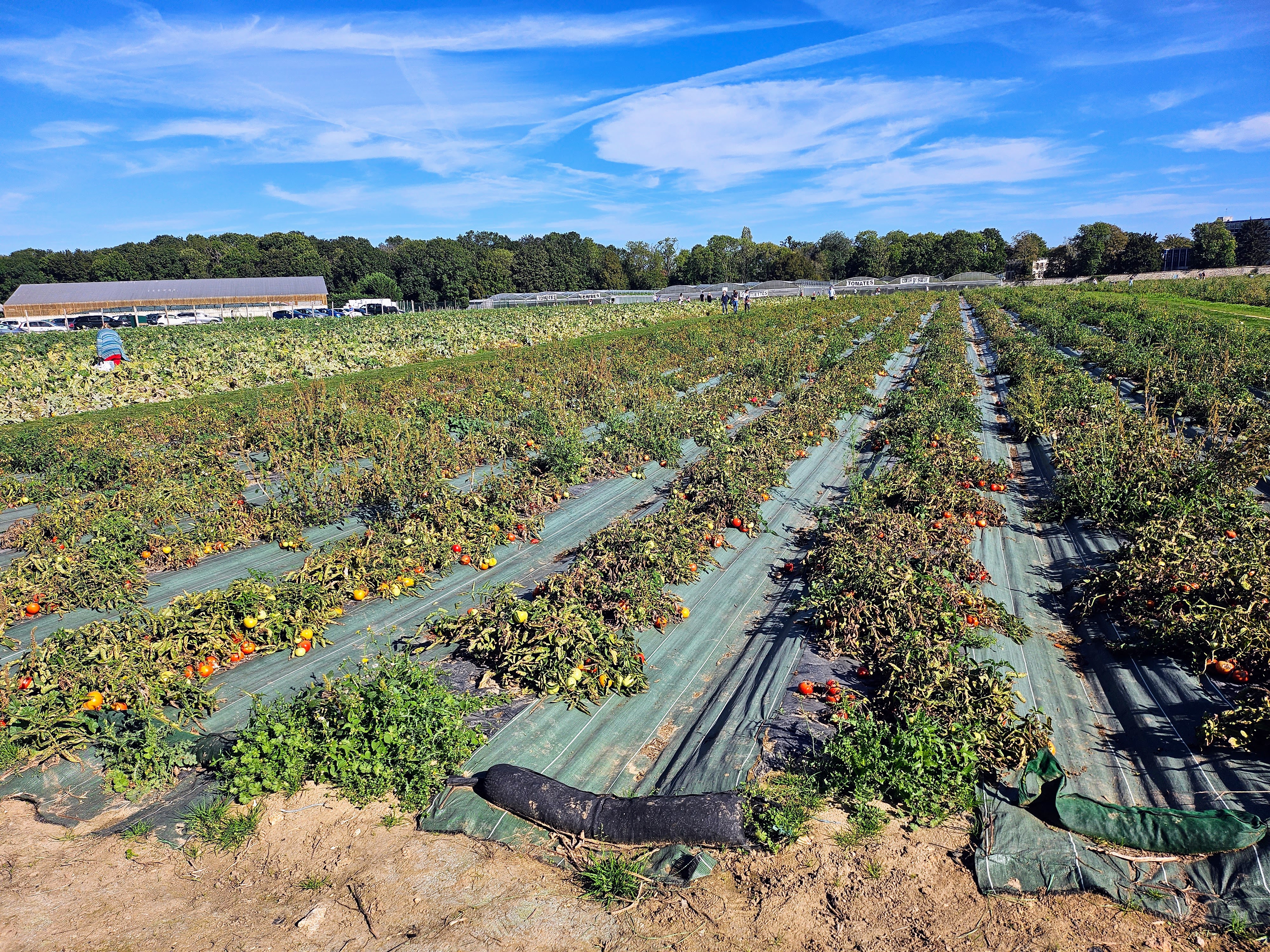 Photo n° 3 de l'avis de Yannick.E fait le 12/11/2023 à 12:06