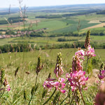 Photo n° 1 de l'avis de Veronique.e fait le 01/06/2019 à 19:07 pour Colline de Sion à Vaudémont