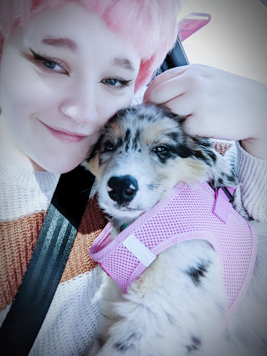 Pet Supply Store «Petland Dallas», reviews and photos, 11909 Preston Rd, Dallas, TX 75230, USA