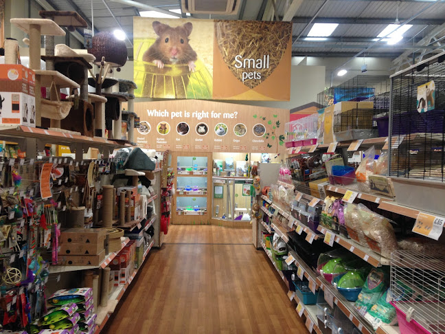 Reviews of Pets at Home Battersea in London - Shop