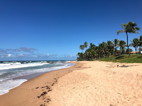 Praia de Busca Vida
