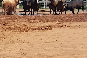 Clyde Burk Rodeo Arena image