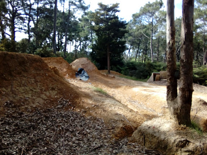 Mountain Bike Course Forest Hill