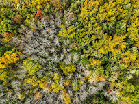 Shutter in the Sky - Photo 6 - Car repair in , Syracuse