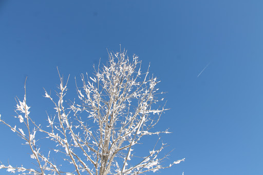 Travel Agency «Friends Travel», reviews and photos, 1200 SE Maynard Rd # 204, Cary, NC 27511, USA