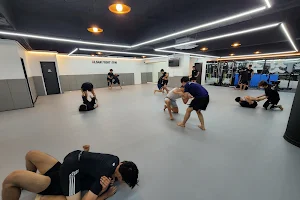 울산파이트짐(남구신정지부) Ulsan Jiu Jitsu image