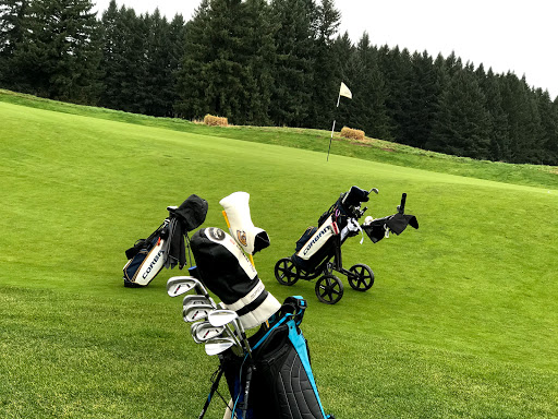 Golf Course «Langdon Farms Golf Club», reviews and photos, 24377 Airport Rd NE #1, Aurora, OR 97002, USA