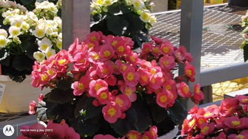 Home Improvement Store «The Home Depot», reviews and photos, 1749 Newman Rd, Okemos, MI 48864, USA