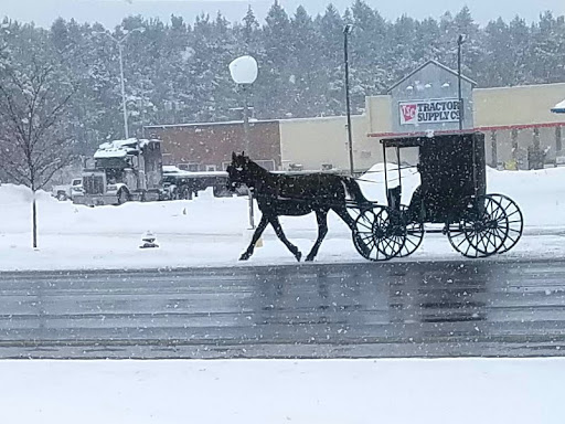 Home Improvement Store «Tractor Supply Co.», reviews and photos, 471 E Main St STE 3, Gouverneur, NY 13642, USA