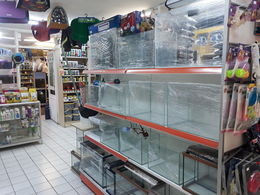 As Pet Shop | Kağıthane İstanbul - Evcil hayvan mağazası