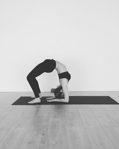 Anisha Yoga - Estudio de Yoga Llanogrande