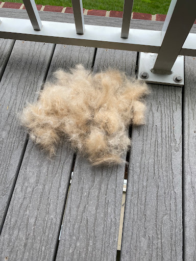 Pet Supply Store «PetSmart», reviews and photos, 12971 Fair Lakes Pkwy, Fairfax, VA 22033, USA