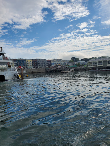 Sightseeing Tour Agency «Lulu Lobster Boat Ride», reviews and photos, 55 West St, Bar Harbor, ME 04609, USA