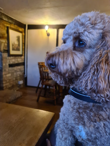 Reviews of Fox & Duck in Bedford - Pub