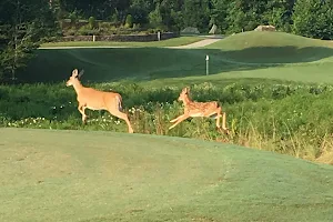 Verdict Ridge Golf & Country Club image