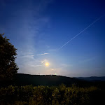 Photo n°6 de l'avis de EXPAND.R fait le 04/06/2023 à 17:30 sur le  Hapimag Restaurant Tre Tigli à Chiusdino