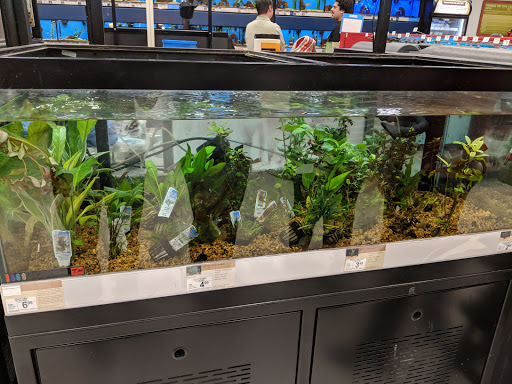 Pet Supply Store «Petco Animal Supplies», reviews and photos, 3012 Bridgepointe Pkwy, San Mateo, CA 94404, USA