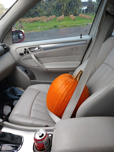 Produce Market «Sunscape Farms», reviews and photos, 1420 Creek St, Rochester, NY 14625, USA