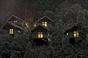 Saha Forest Camp image
