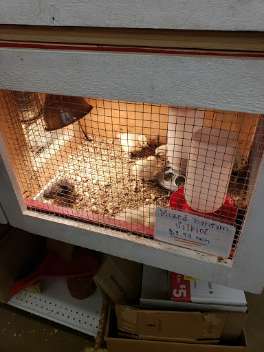 Hardware Store «Chandler Ace Hardware», reviews and photos, 4870 S Gilbert Rd, Chandler, AZ 85249, USA