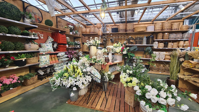 Opinii despre Jardinerie botanic Hesdigneul în Calais - Paysagiste