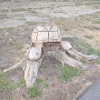 Wooden Turtle Carving