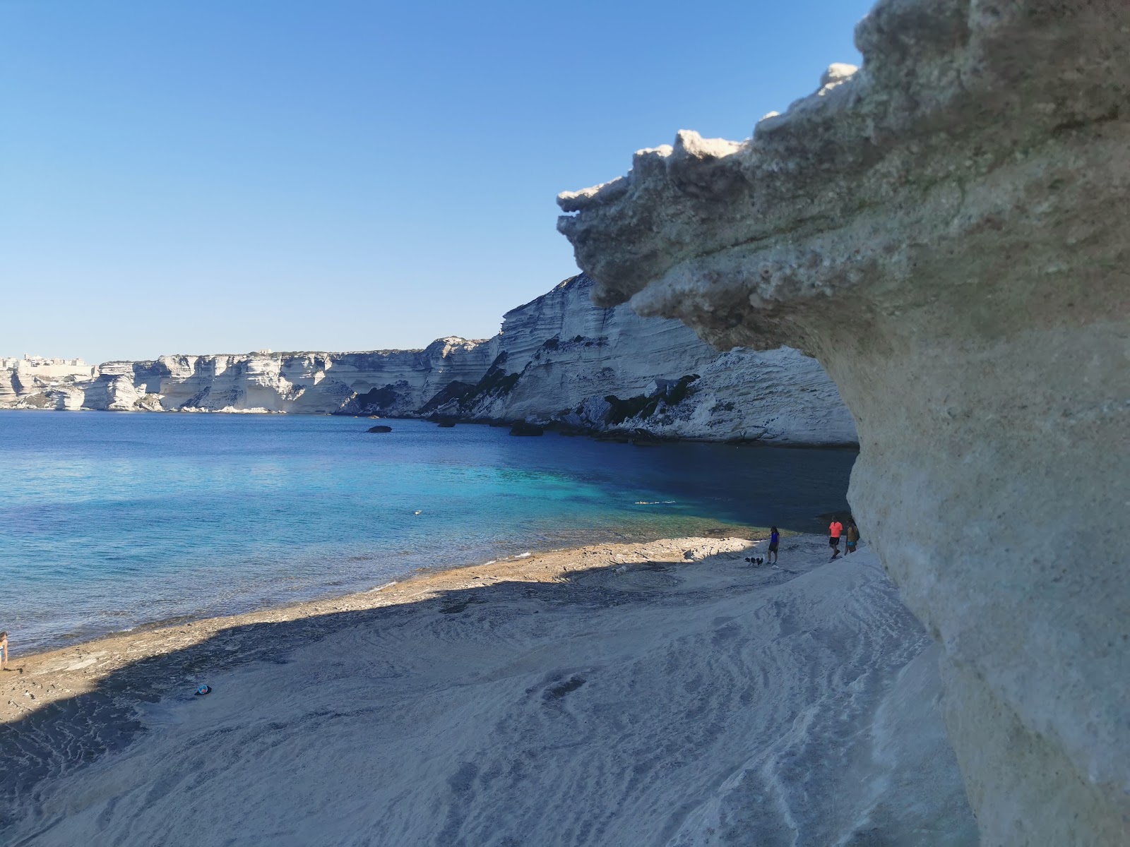 Plage des Trois Pointes'in fotoğrafı vahşi alan