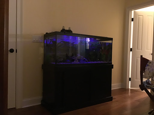 Pet Supply Store «PetSmart», reviews and photos, 3 McKenna Rd, Arden, NC 28704, USA