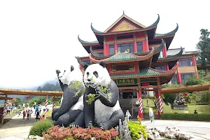 Istana Panda Indonesia Taman Safari Bogor image