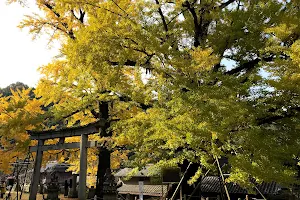Iwabu-hachiman Shrine image
