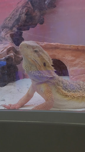 Pet Supply Store «Pet Supplies Plus», reviews and photos, 1137 Annapolis Rd, Odenton, MD 21113, USA