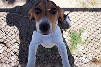 Owl Creek Veterinary Hospital - Photo 6 - Car repair in Virginia Beach, VA, Virginia Beach