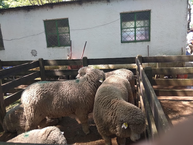 Estación Curticeiras