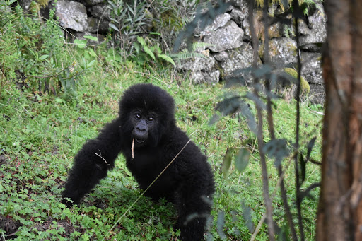 Travel Agency «Travel Beyond - Travel Agency», reviews and photos, 106 Broadway Ave S, Wayzata, MN 55391, USA