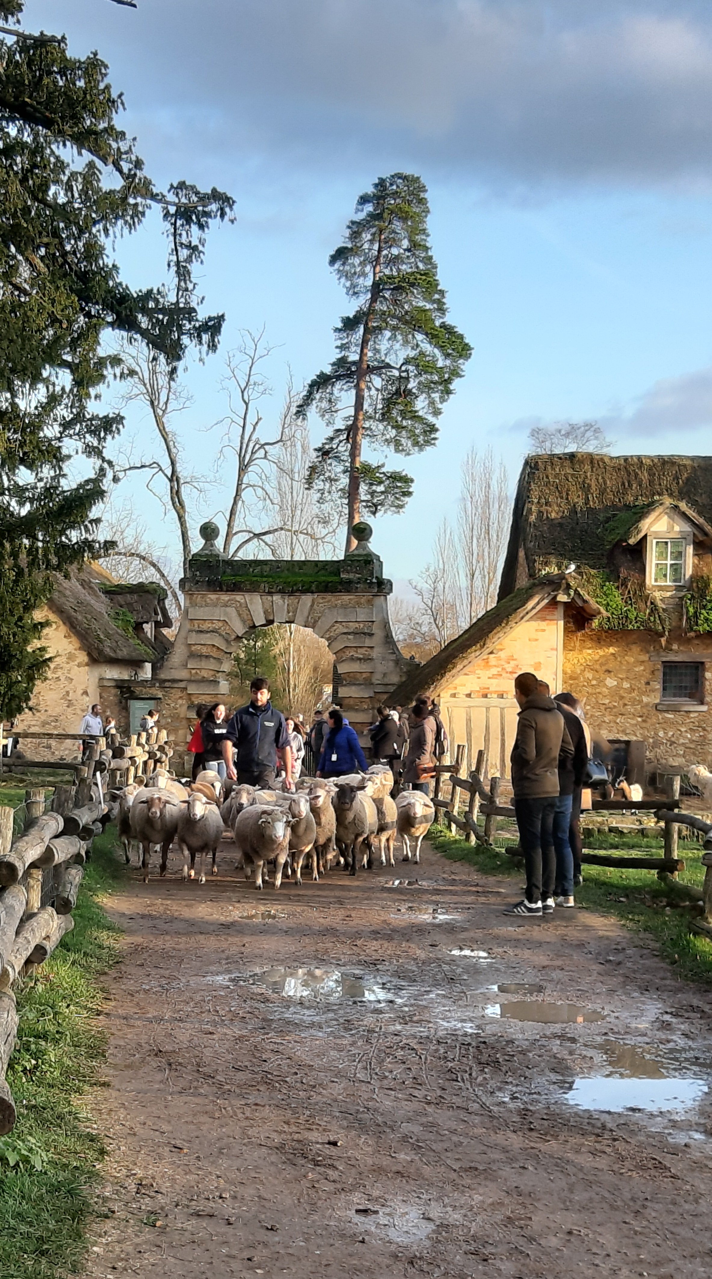 Photo n° 50 de l'avis de betty.o fait le 10/12/2019 à 11:19