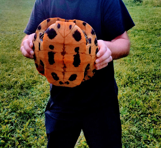 Park «A.B. Sawyer Park», reviews and photos, 9300 Whipps Mill Rd, Louisville, KY 40242, USA