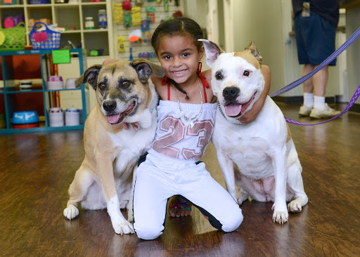 520 W Wyoming Ave, Cincinnati, OH 45215, USA