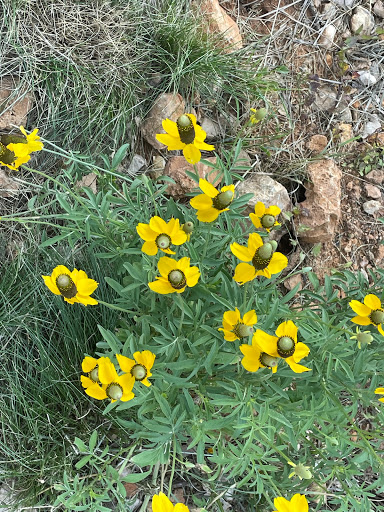 Tourist Attraction «Cave of the Winds», reviews and photos, 100 Cave of the Winds Rd, Manitou Springs, CO 80829, USA