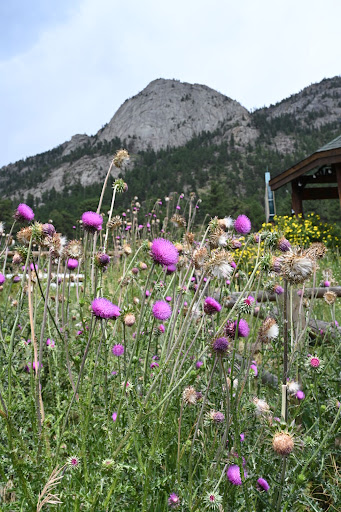 Sightseeing Tour Agency «Aspire Tours», reviews and photos, 6275 W 38th Ave, Wheat Ridge, CO 80033, USA